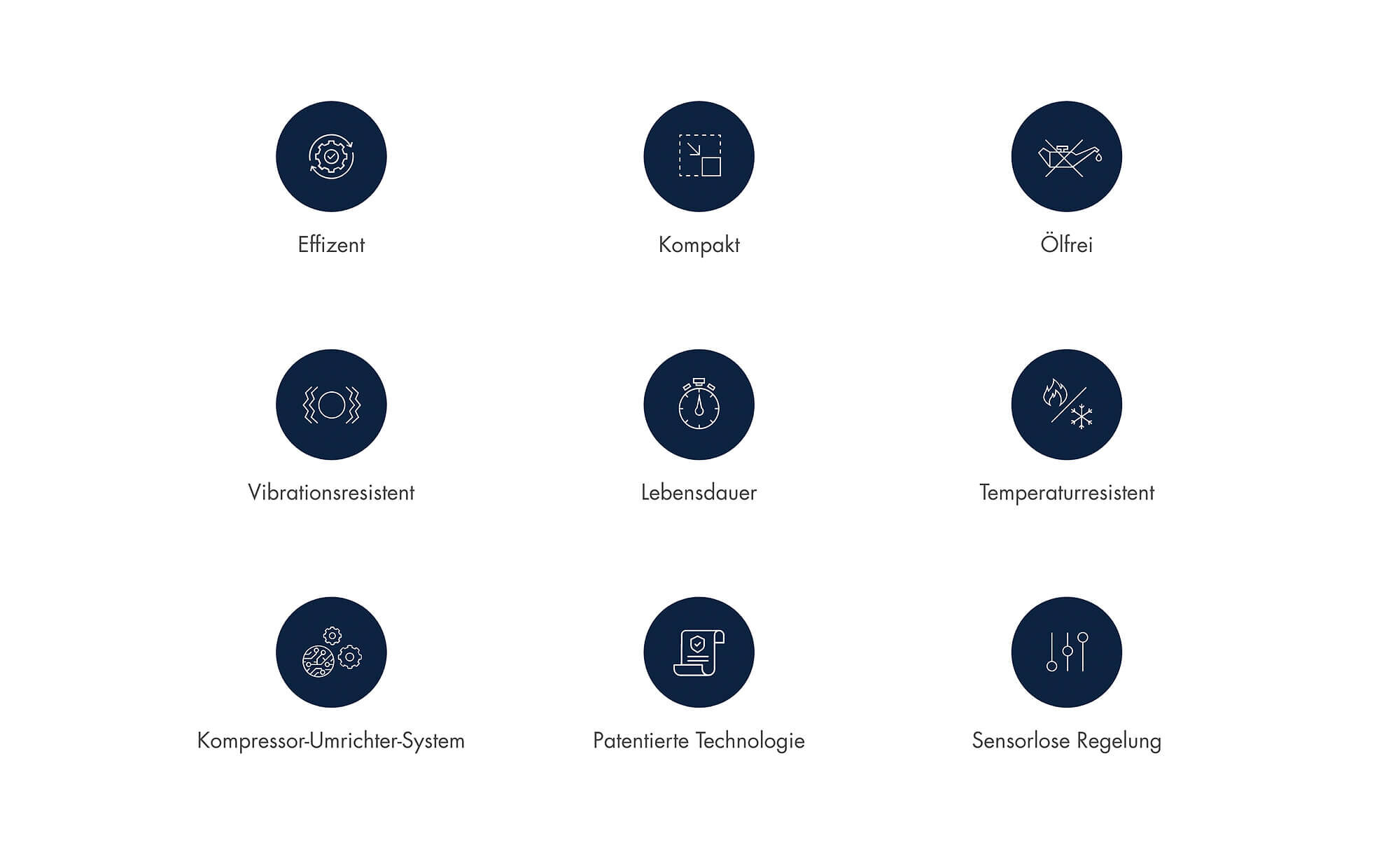 Screenshot – Celeroton AG Website